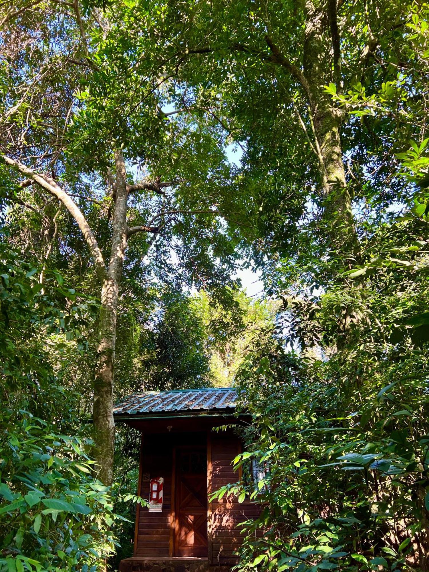 Rainforest Hotel & Cabanas Puerto Iguazu Exterior photo